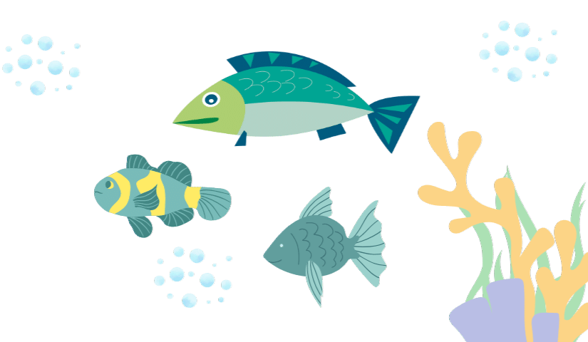 Aquarium fish