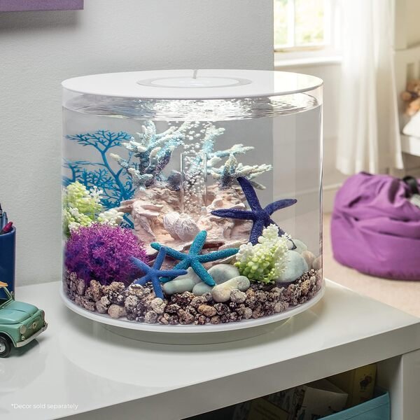 Best 15 Small Fish Tank Aquariums for Beginners | Everything You Need to Know