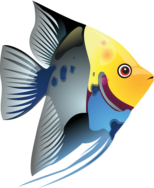 Best fish care