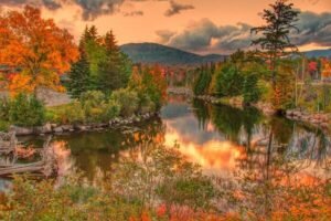 Understanding Autumn Fishing Behavior