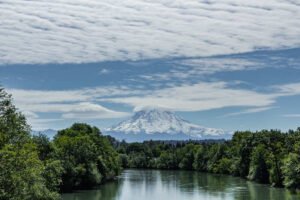 Understanding the River: Geography and Fish Species