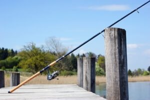 Essential Gear for Mooneye Fishing