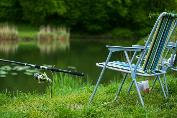 How to Pond Fishing | Everything You Need to Know