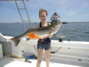 Understanding Striped Bass Fishing 