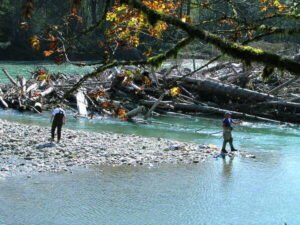 Tips and Techniques for Skagit River Fishing