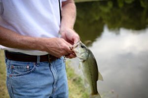 Seasonal Changes and Pond Fishing