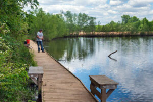  Types of Fish in Alabama Fishing Ponds