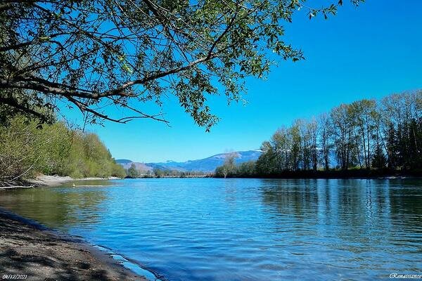 Skagit River Fishing | Everything You Need to Know