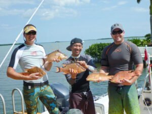 Understanding Hogfish Fishing 