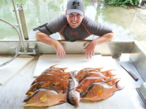 The Best Baits for Hogfish