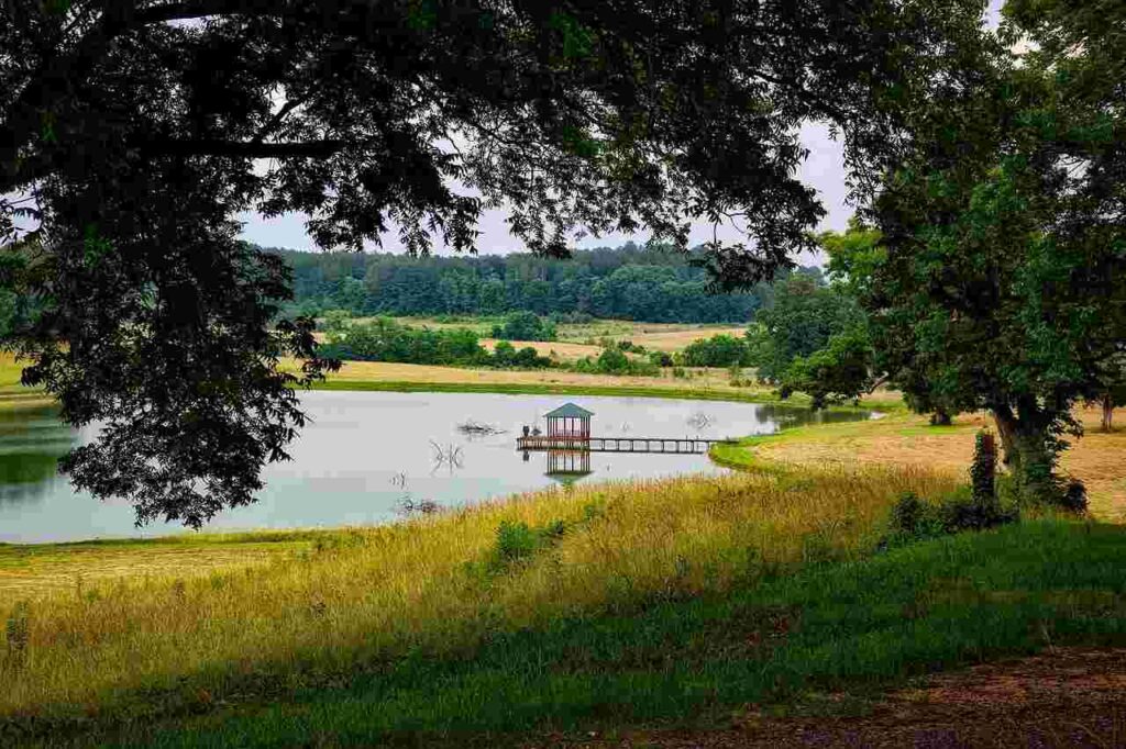 Alabama Fishing Pond | Everything You Need to Know