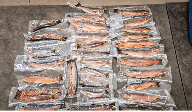 why California Anglers Face Wyoming Fishing Fines
