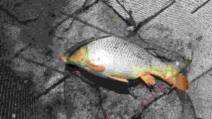 Setting Up the Right Gear: Rod, Reel, and Line