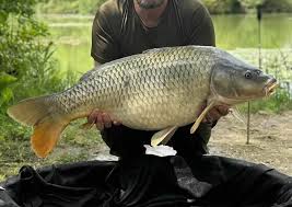 My Carp Fishing Experience