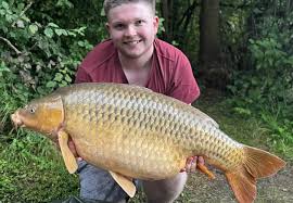 Understanding Carp: Characteristics and Behavior
