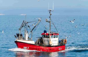 Know Your Catch: Species Matters