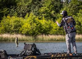 Top Lures for Fall Bass Fishing