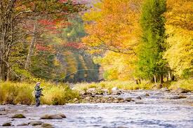 Why Fall Fly Selection Matters