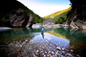 Understand Seasonal Fish Behavior: Autumn Fishing